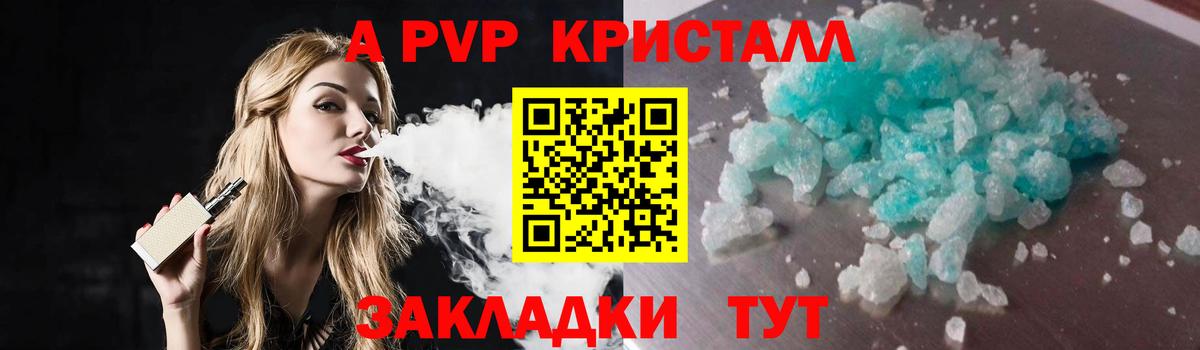 Alfa_PVP СК Новозыбков
