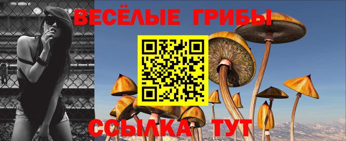 Галлюциногенные грибы мухоморы Новозыбков