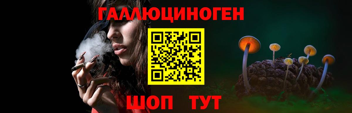 Псилоцибиновые грибы мицелий  Вход с VPN  Новозыбков 